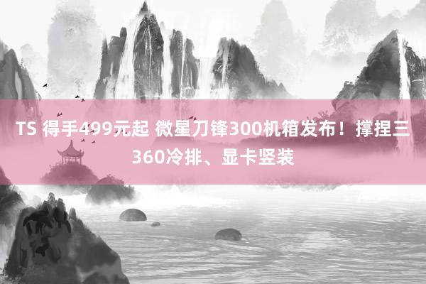 TS 得手499元起 微星刀锋300机箱发布！撑捏三360冷排、显卡竖装