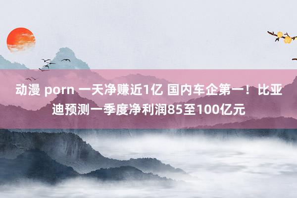 动漫 porn 一天净赚近1亿 国内车企第一！比亚迪预测一季度净利润85至100亿元