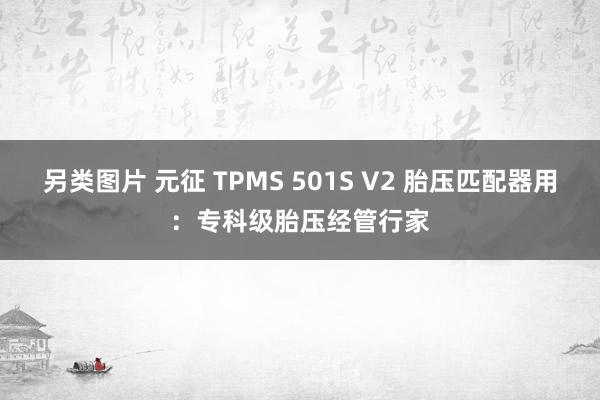 另类图片 元征 TPMS 501S V2 胎压匹配器用：专科级胎压经管行家