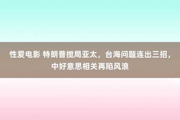 性爱电影 特朗普搅局亚太，台海问题连出三招，中好意思相关再陷风浪