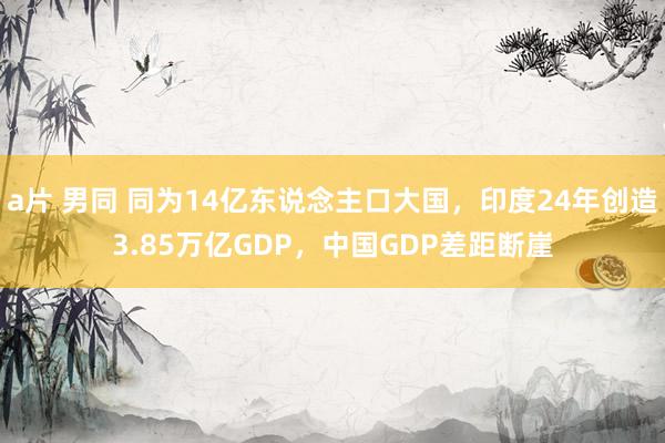 a片 男同 同为14亿东说念主口大国，印度24年创造3.85万亿GDP，中国GDP差距断崖