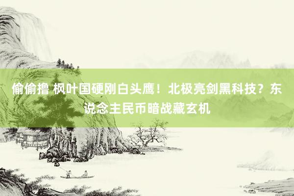 偷偷撸 枫叶国硬刚白头鹰！北极亮剑黑科技？东说念主民币暗战藏玄机