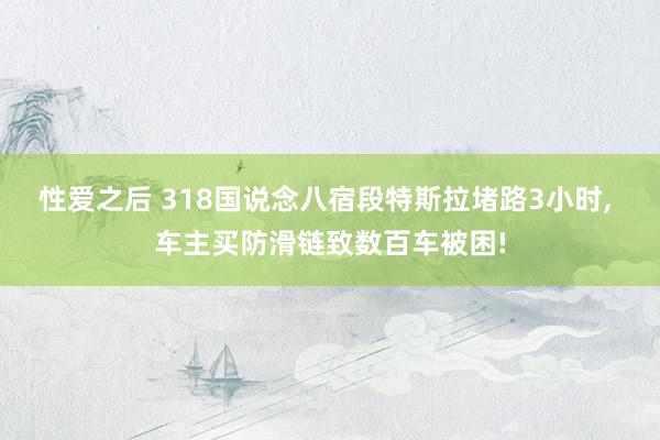 性爱之后 318国说念八宿段特斯拉堵路3小时, 车主买防滑链致数百车被困!