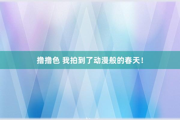 撸撸色 我拍到了动漫般的春天！