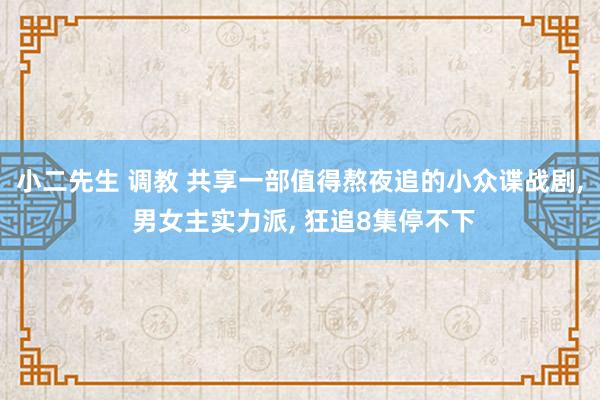 小二先生 调教 共享一部值得熬夜追的小众谍战剧, 男女主实力派, 狂追8集停不下
