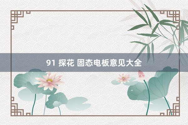 91 探花 固态电板意见大全