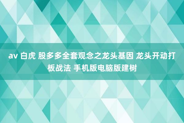 av 白虎 股多多全套观念之龙头基因 龙头开动打板战法 手机版电脑版建树