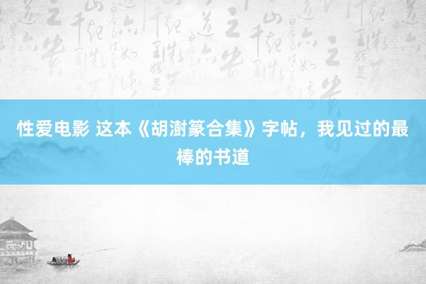 性爱电影 这本《胡澍篆合集》字帖，我见过的最棒的书道