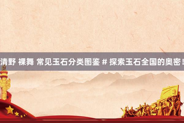 清野 裸舞 常见玉石分类图鉴 # 探索玉石全国的奥密！