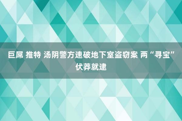 巨屌 推特 汤阴警方速破地下室盗窃案 两“寻宝”伏莽就逮