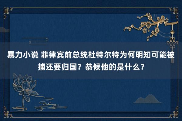 暴力小说 菲律宾前总统杜特尔特为何明知可能被捕还要归国？恭候他的是什么？