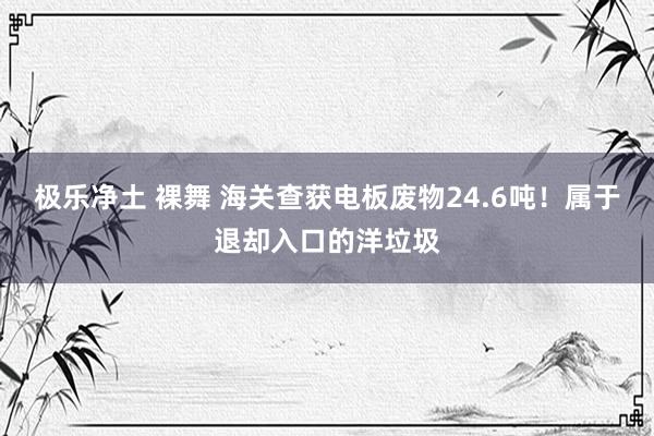 极乐净土 裸舞 海关查获电板废物24.6吨！属于退却入口的洋垃圾