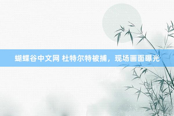 蝴蝶谷中文网 杜特尔特被捕，现场画面曝光