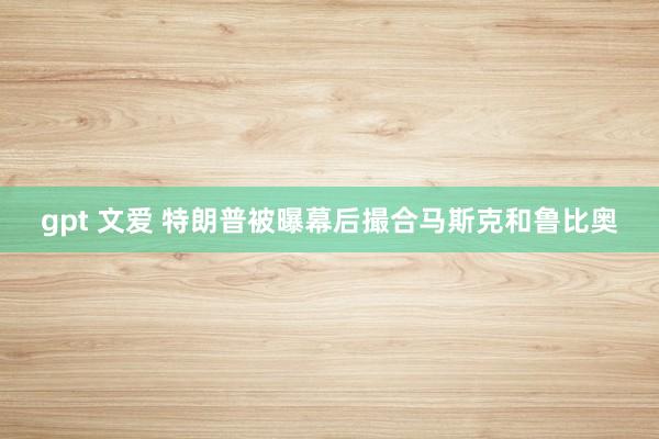 gpt 文爱 特朗普被曝幕后撮合马斯克和鲁比奥