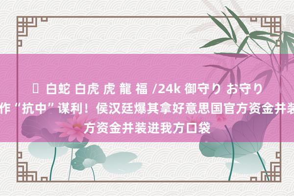 ✨白蛇 白虎 虎 龍 福 /24k 御守り お守り 沈伯洋靠炒作“抗中”谋利！侯汉廷爆其拿好意思国官方资金并装进我方口袋