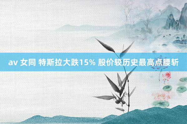 av 女同 特斯拉大跌15% 股价较历史最高点腰斩